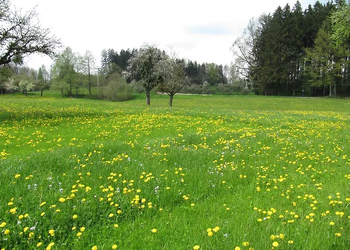 Claudis Ferienhaeusle * Amtzell